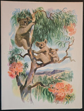 Matson Lines Menu Australia Cover (#3), L. Macouillard, S.S. Matsonia, 3-26-1963