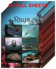 Wholesale Lot 50X TUVALU 2018 Stamps Sheet Rays MNH #F31570
