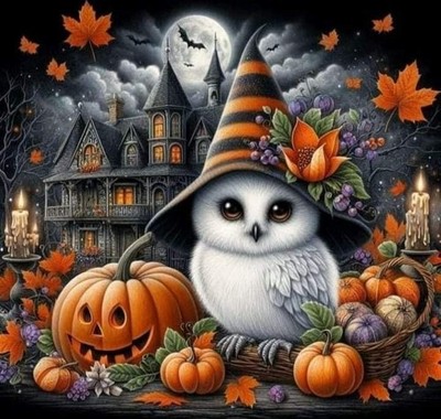 Harry Potter Cute Owl w Wizard Hat 5D Diamond Drill Dot Art Paint Kit Hogwarts !