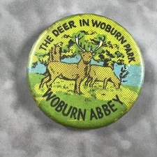 The Deer in Woburn Park Abbey 70's Vintage Button Safety Pin Back 1.50" Round