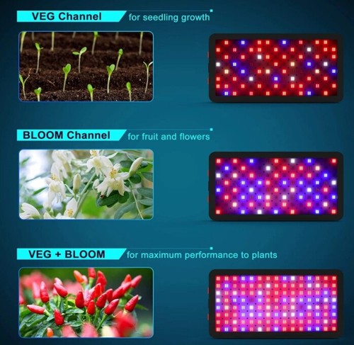 Phlizon LED Grow Light 600W 900W 1200W Pełne spektrum Lampa roślinna Veg Bloom Grow - Zdjęcie 6 z 48