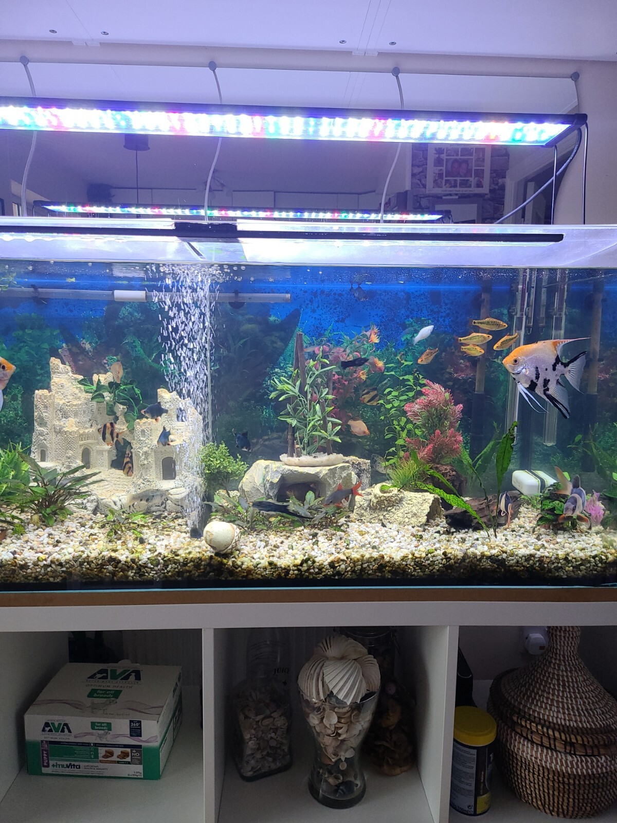 4 ft aquarium fish tank used eBay