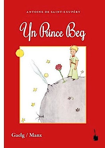 Thumbnail - Antoine De Saint Exupéry / Yn Prince Beg9783947994335