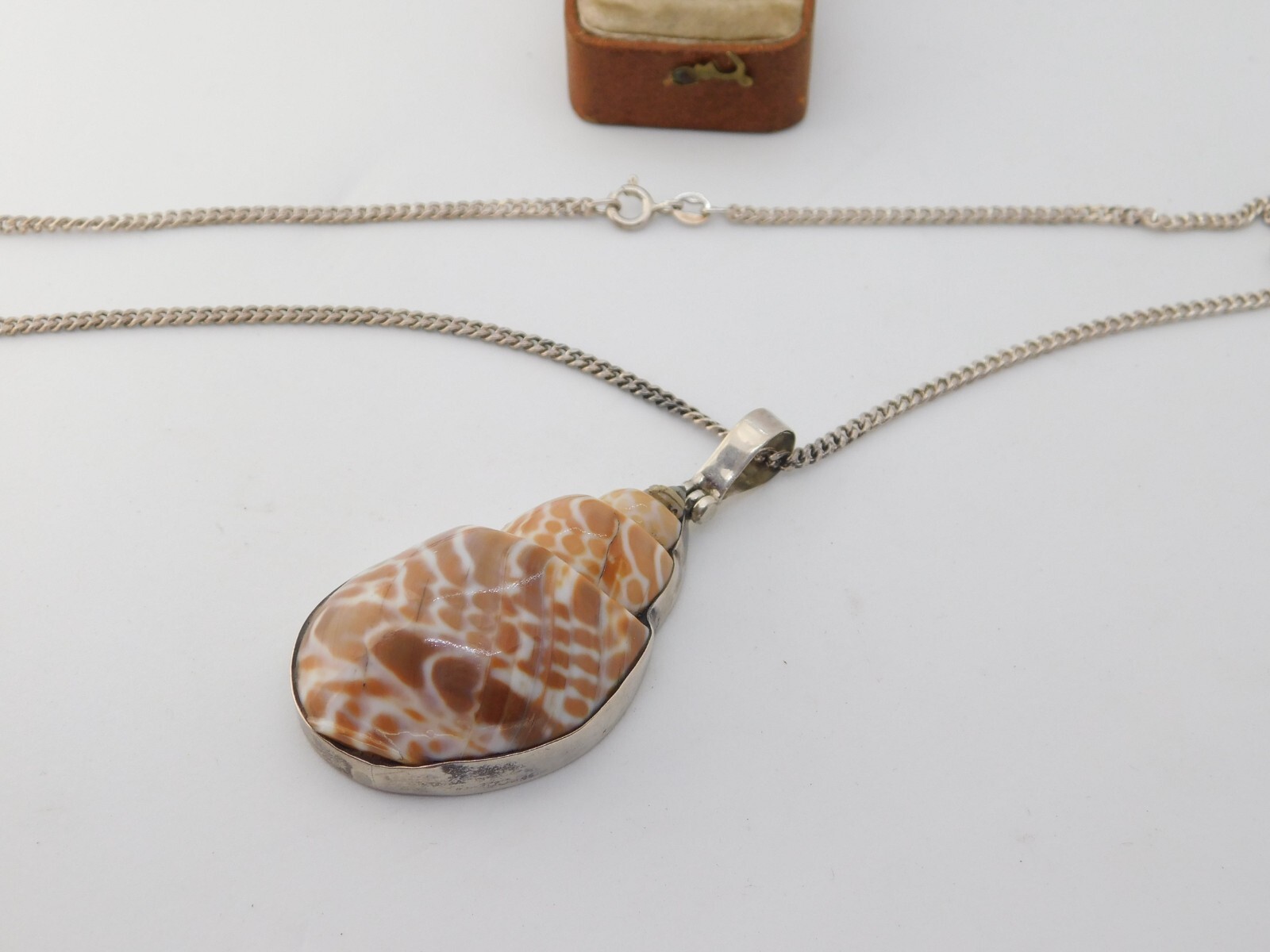 Large Sterling Silver Mounted Conch Shell Pendant… - image 1