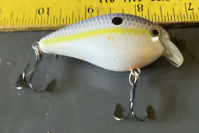 Vintage Strike King Shallow Round Lip Sexy Shad 2.5 In. Crankbait  Exc.