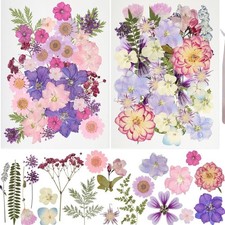 50Pcs Dried Pressed Flowers Resin Mould Real Pressed Flowers Natural Dry Leaves