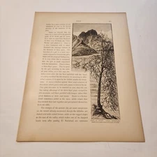 Jebel El Benat Girls Mountain Sinai Egypt c. 1881 Engraving (322)