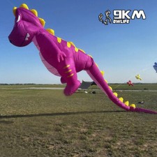 9KM 10m Long Tail dinosaur kite Nylon Line Laundry Soft Inflatable Show Kite