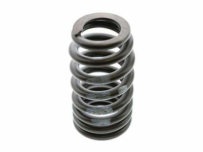 Valve Spring For 2006-2010 BMW M6 2007 2008 2009 N217SV Valve Spring | eBay