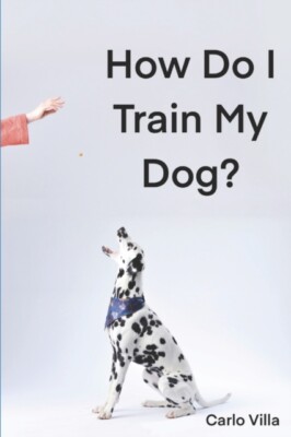 Villa - How Do I Train My Dog  A quick guide to everything you need t - X555z