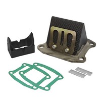 polini 100 PRE Lamellenventil Kit Piaggio ZIP 50 2T SP H2O - MF9719, Sport