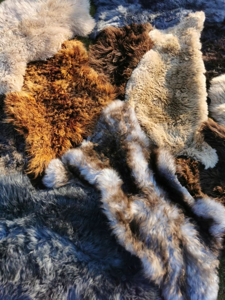 Echte Schaffelle | Bis 155cm | Lammfell | XXL Top-Öko-Fell-Teppich | Erste Wahl - Bild 4 von 4