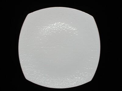 RAYNAUD MINERAL PLATINE DINNER PLATE - 10''  0509E