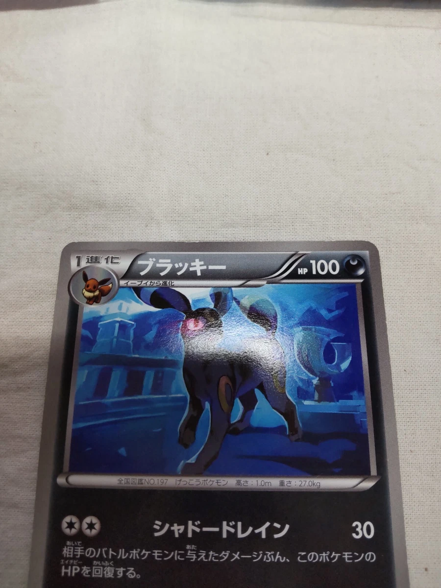 ブラッキー 042/069 BW4 | www.emdecob.com