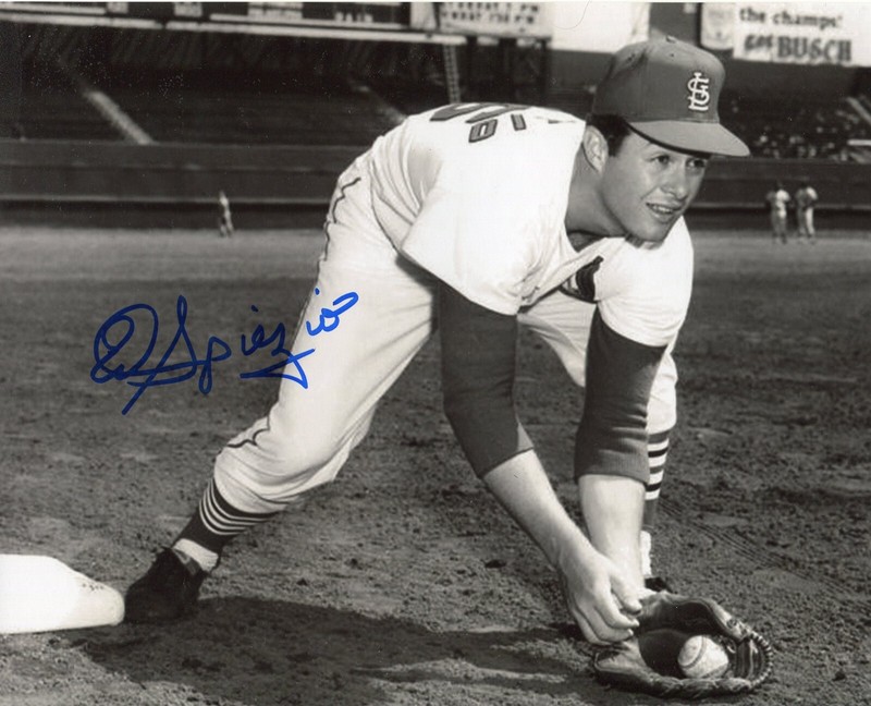 ED SPIEZIO Photo  1964 St Louis Cardinals in action 1964 and 19667 WS  COA