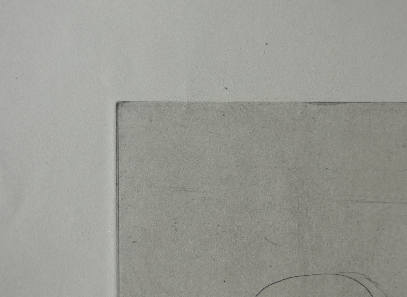 Photo 3/8
