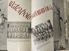 Afbeelding 8 van 11