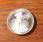 One Troy Oz Silver Walking Liberty  .999 fine silver uncirculated