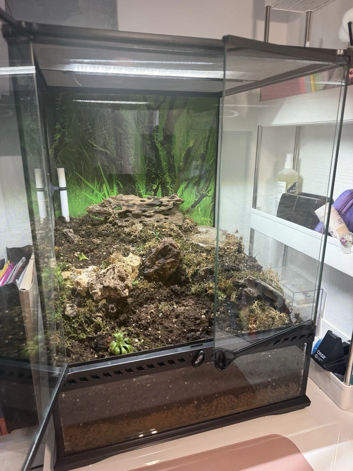 Verkaufe Terrarien von Exoterra 45x45x90 cm groß in Glas (auch als Paludarium) - Bild 4 von 4