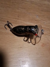 Arbogast Hocus Locust Black Gold rattle topwater crankbait lure