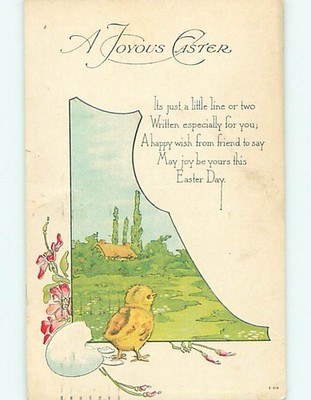 Divided-Back easter CHICK COMES OUT OF SHELL TO LOOK AT PASTURE 60k cards r3732