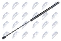 NTY Heckklappen DäMpfer Gasfeder Kofferraum AE-PE-013 FüR Peugeot 1007 16V Hdi