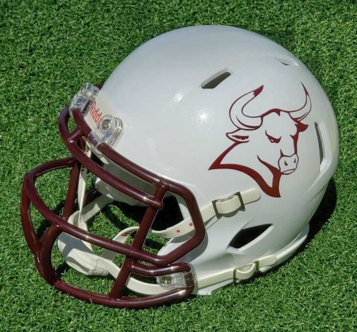 Riddell Wild Mavericks ヘルメット 【公式通販】