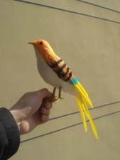 simulation bird toy polyethylene furs colourful bird model gift about 30cm