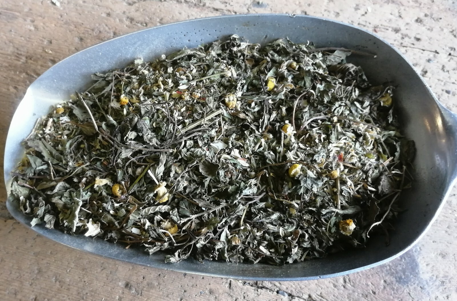 Kräuter für die Verdauung, Pferdekräuter Magen Darm, Blähungen, Futterumstellung