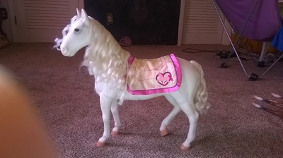 american girl foal