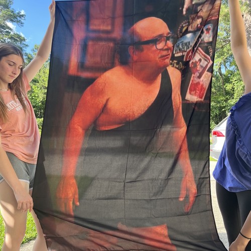 Danny Devito Wandteppich 2x5