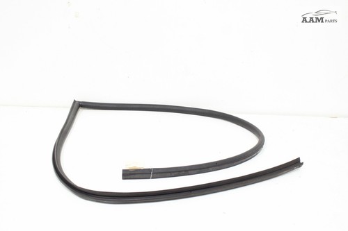 2019-2023 VOLVO VNL 760 D13 FRONT LEFT SIDE DOOR CAB WEATHERSTRIP SEAL OEM
