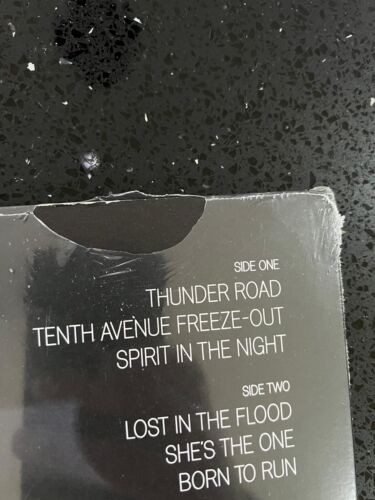 Bruce Springsteen & E Street Band Hammersmith Odeon London '75 Vinyl 4 X LP NEW - Picture 8 of 13