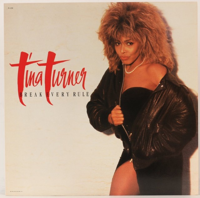 Break Every Rule Tina Turner Vinyl Record for sale online | eBay