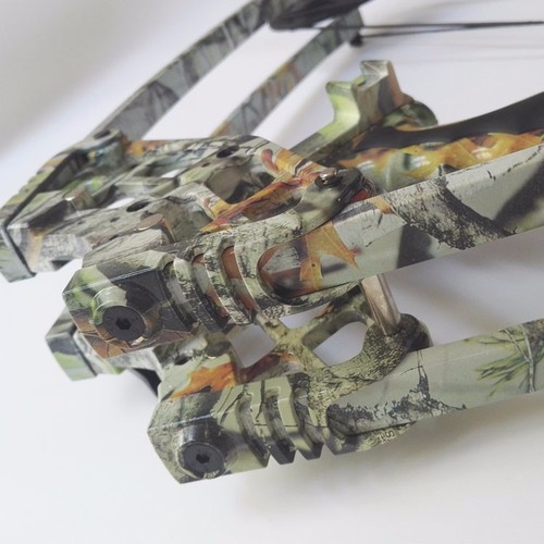 Archery Triangle Compound Bow Right Left Hand Hunting Shoot Competition 40lbs - Picture 10 of 13
