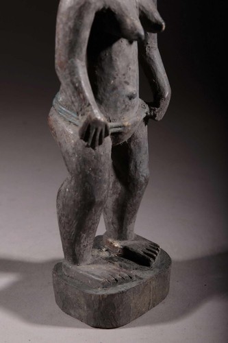 Colon Agni 2564 - Photo 6 sur 13