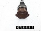 Afbeelding 3 van 4