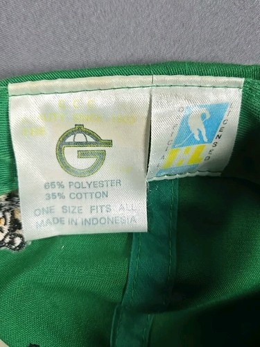 Vintage 90s Denver Grizzlies Hat IHL Hockey Snapback The G Cap Utah Grizzlies - Picture 15 of 16