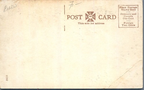 Baby Strauße Straußenfarm heiße Quellen Arkansas UDB 1907 Postkarte - Bild 2 von 2