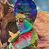Cindy Wilson - Realms - Vinyl Record - G3Z