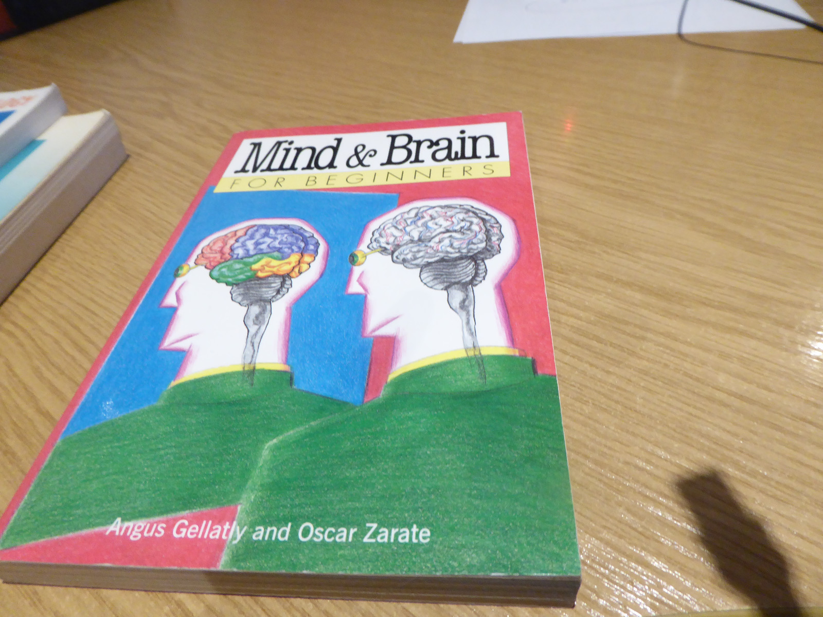 Mind and Brain for Beginners by Angus Gellatly