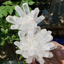 1.47LB Newly discovered white phantom quartz crystal mineral sample restoration