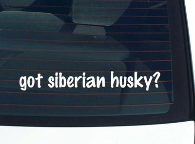 #ad got siberian husky? CAR DECAL BUMPER STICKER VINYL FUNNY JOKE WINDOW $2.76
