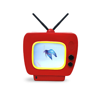 Betta Vision - Acquario a forma di Tv foto 2