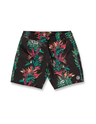 Volcom V Entertainment Pepper Stoney 17