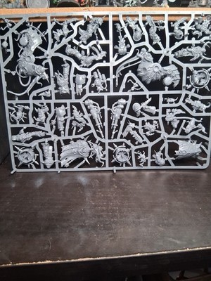 Dark Imperium Death Guard Sprue With Lord Of Contagion Warhammer 40k
