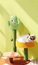 Tour de l'arbre de chat Cactus 65x40x40cm