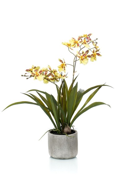 Artplants Kunstorchidee Oncidium Colunga Im Keramiktopf, Gelb-Orange, 45Cm-image