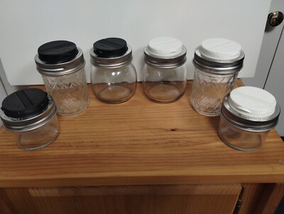 MASON REGULAR MOUTH JAR W/TWO SIDED SPICE LID