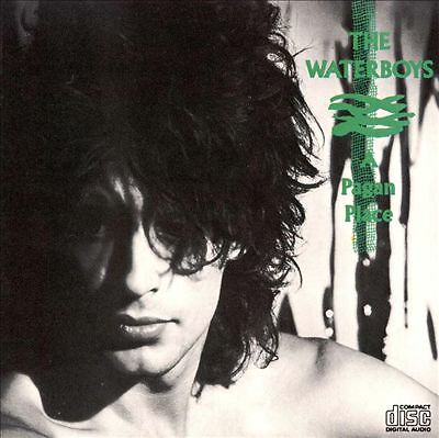 Waterboys : A Pagan Place CD Value Guaranteed from eBay’s biggest seller! - Bild 1 von 1